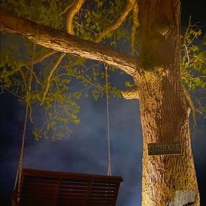 Meet your Posher, Ty